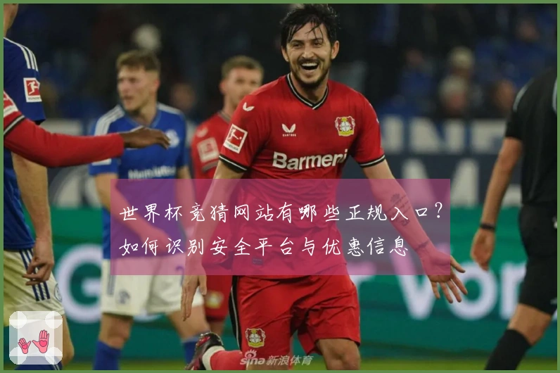 世界杯竞猜网站有哪些正规入口？如何识别安全平台与优惠信息