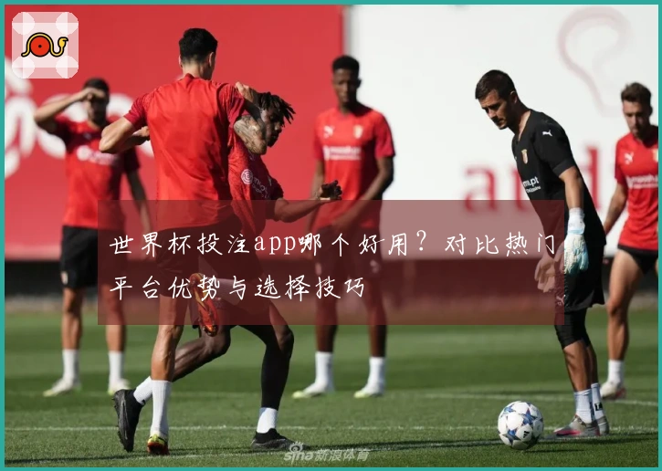 世界杯投注app哪个好用？对比热门平台优势与选择技巧