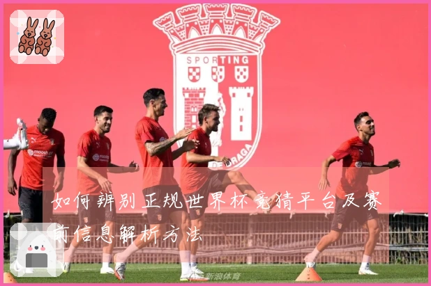 如何辨别正规世界杯竞猜平台及赛前信息解析方法