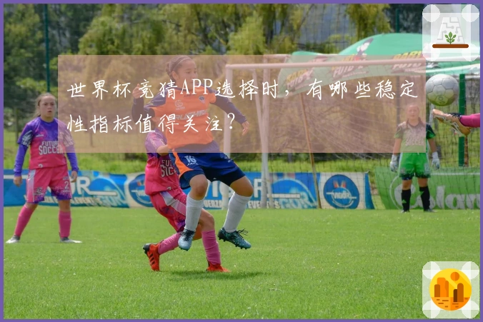 世界杯竞猜APP选择时，有哪些稳定性指标值得关注？